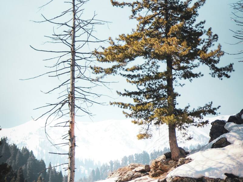 Kashmir Retreat With Doodhpathri