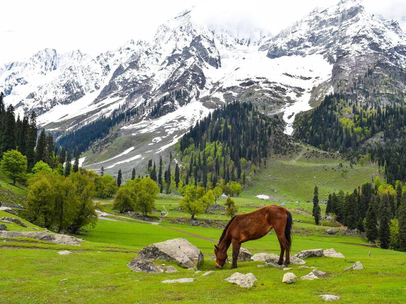 Katra Kashmir Tour Package