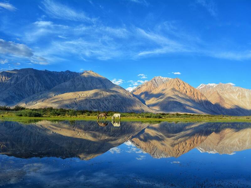 Ladakh And Srinagar Tour