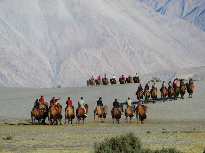 Ladakh Tour Package