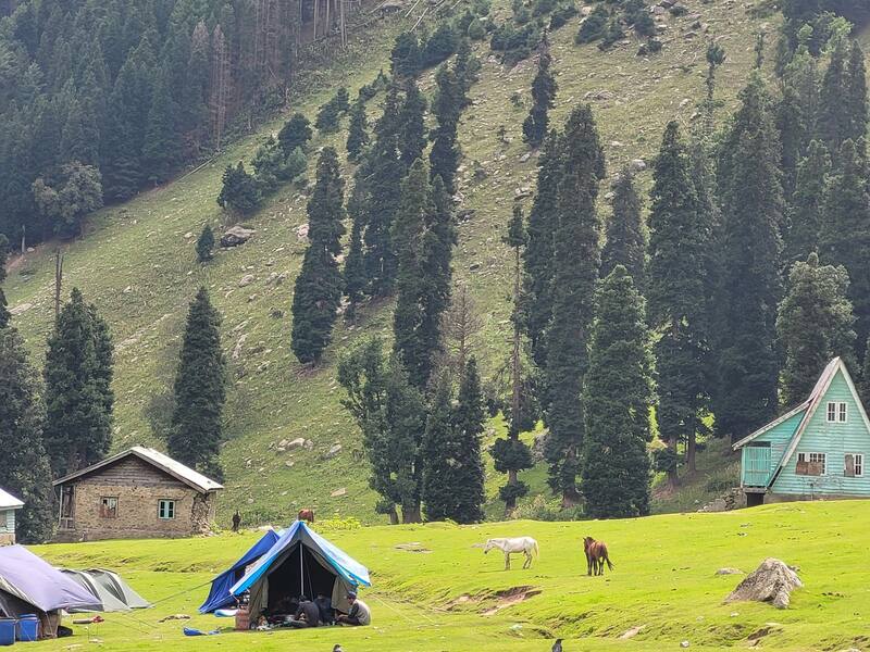 Majestic Gurez Valley Package