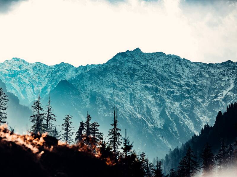 Manali Vovlo Package