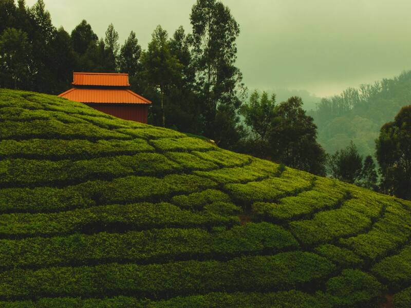 Stunning TamilNadu Tour Package