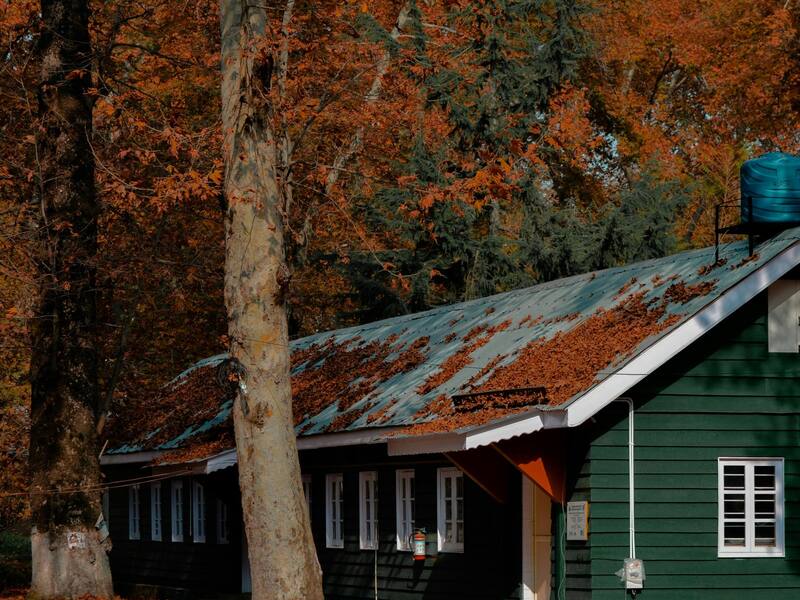 True Gems Of Kashmir Tour Package