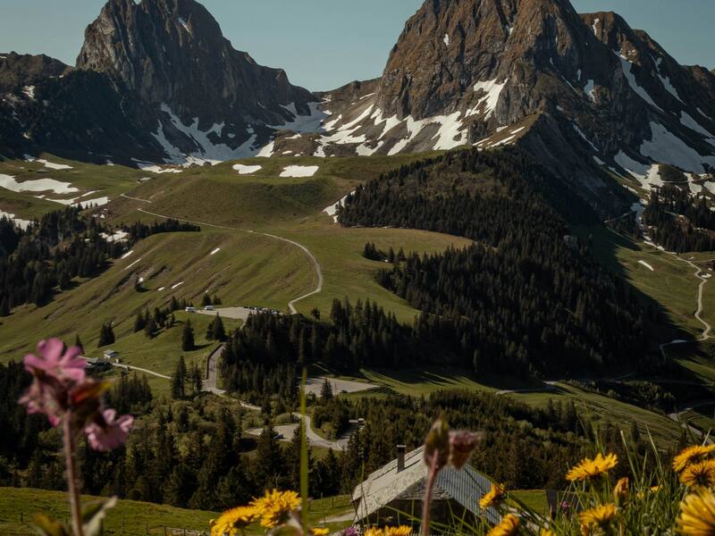Valley Of Flowers Tour Package
